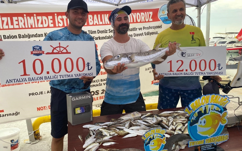 Antalya'da istilacı balon balığı avlama yarışması 