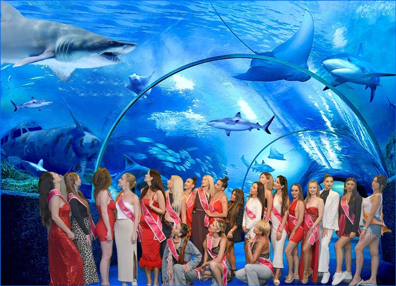 Mrs. Eurasia Güzellerinden Antalya Aquarium’a Renkli Ziyaret