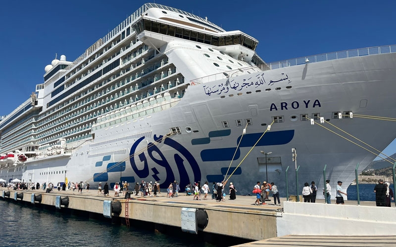 Bodrum'a gemiyle 2 bin 241 yolcu geldi