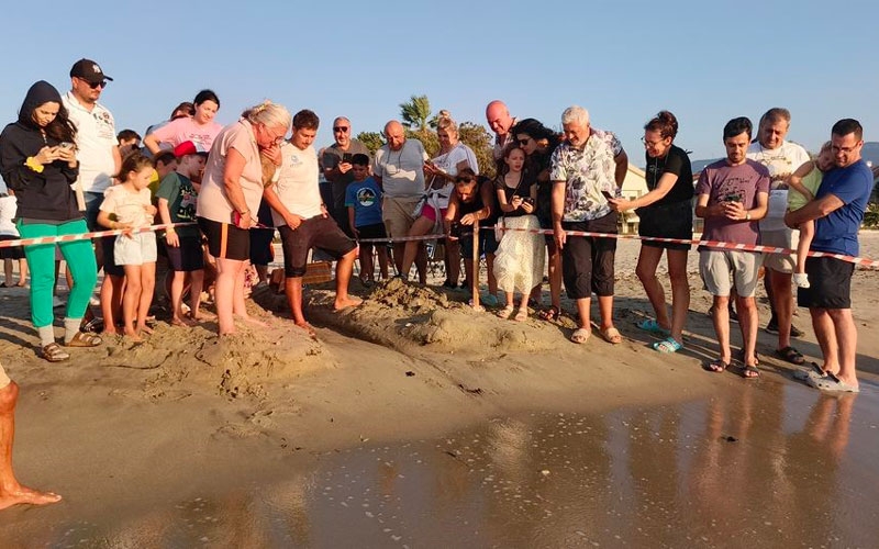 Caretta carettalar denizle buluştu
