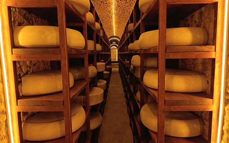 Kars Peynir Müzesi yoğun ilgi görüyor