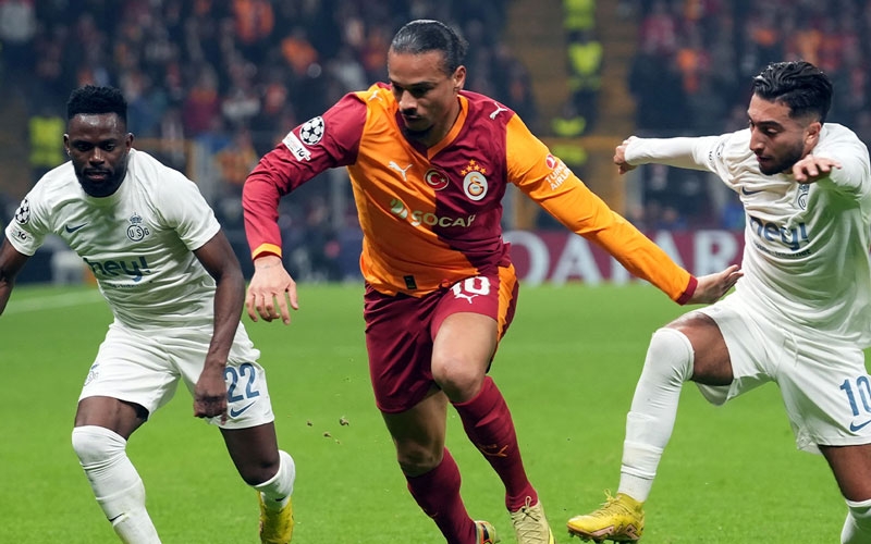 Aslan, Avrupa'da yara aldı