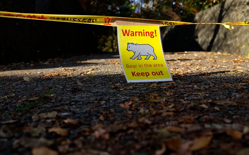 Japon firmadan turizm işletmelerine 