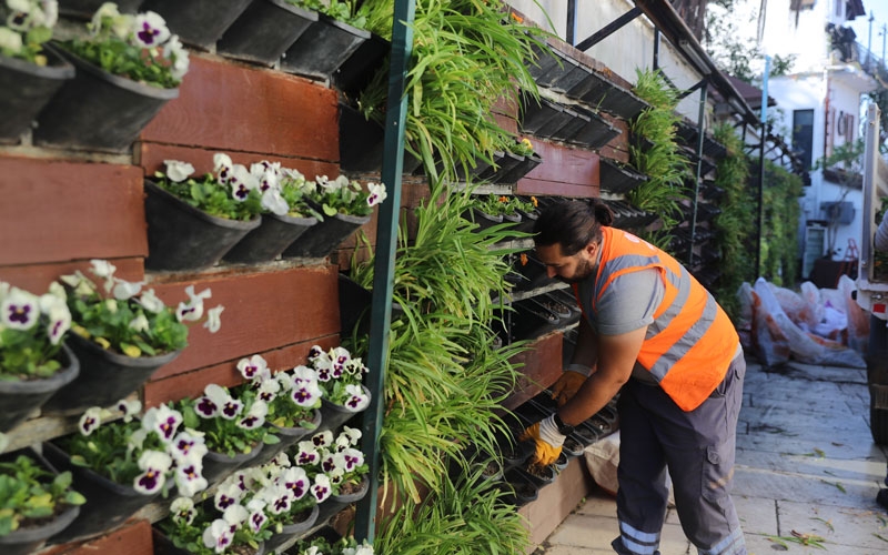 Antalya’da 4 milyon çiçek toprakla buluşuyor