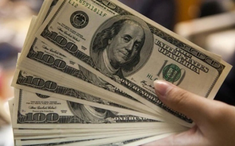 Özel sektörün yurt dışı kredi borcu Kasım ayında 213,3 milyar dolar oldu