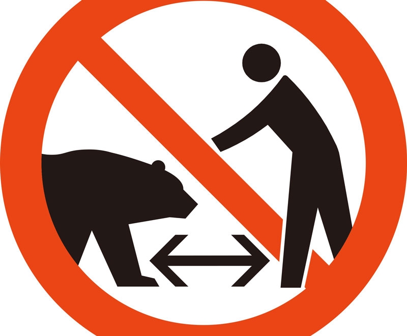 Japonya, turistleri ayılardan korumayı amaçlayan yeni uyarı işaretlerini tanıttı