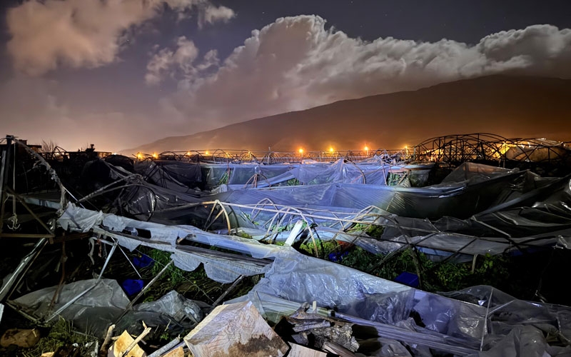 Antalya'da hortum seraları yıktı geçti
