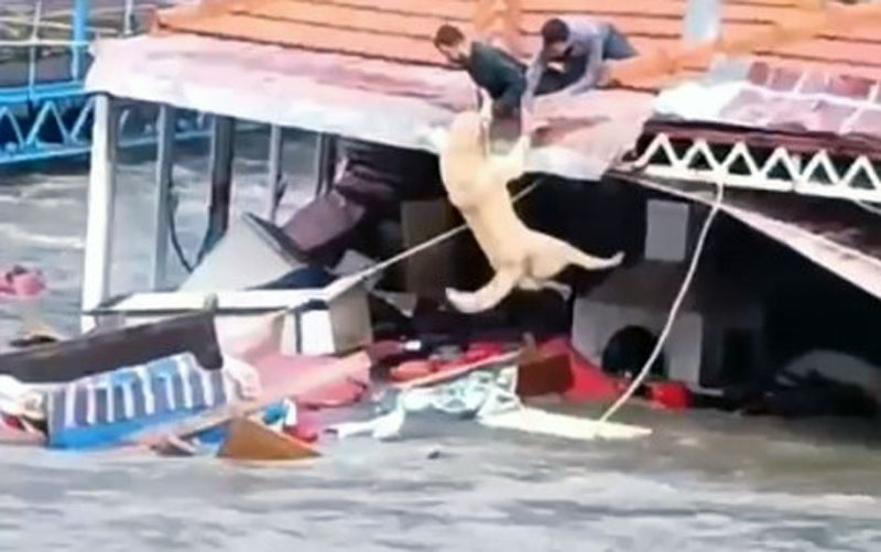 Taşan çaydaki turistik işletmeler yıkıldı