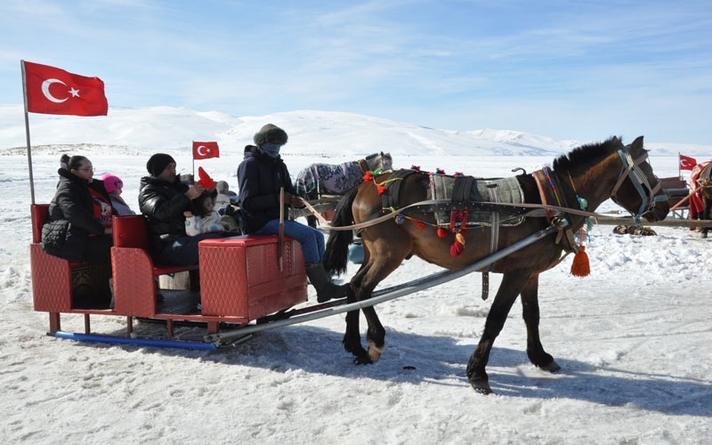 Donmuş Gölde atlı kızak safarileri nefes kesiyor