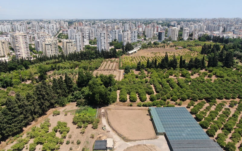 Türkiye son 20 yılda, Antalya'dan büyük tarım alanını kaybetti