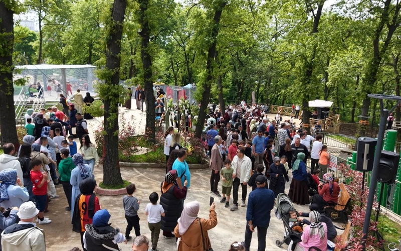 Samsun'da Karadeniz'in en büyük macera parkı açıldı