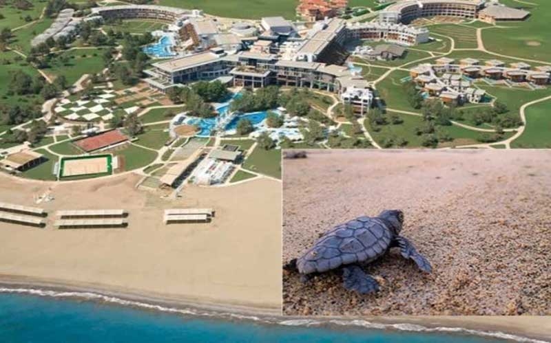 Antalya'daki 4 otele 'Kaplumbağa Dostu' sertifikası verildi