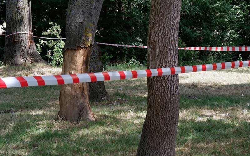 İstanbul Valiliği’nden ormanlara giriş kısıtlaması kararı alındı