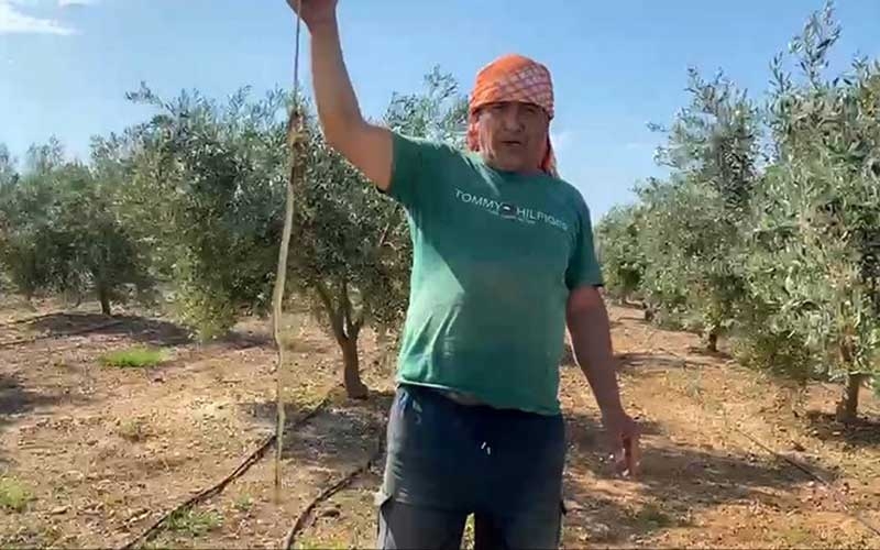 Yılanı öldürdü 22 bin TL ceza yedi