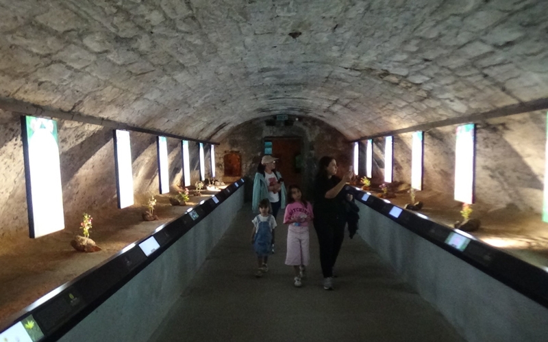 Turistler 
