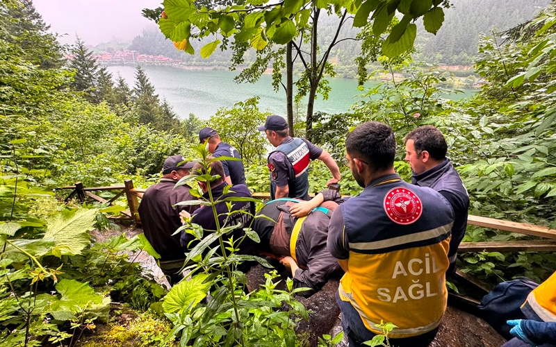 Uzungöl'de seyir terasından araç uçtu: 2 Arap turist yaralı