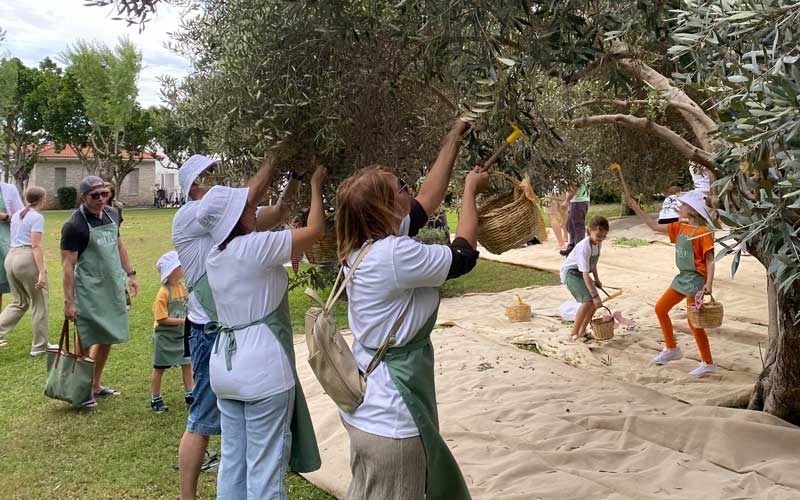 Ela Olive Festival, Akdeniz’in Zeytin Kültürünü Sanat ve Gastronomiyle Buluşturdu