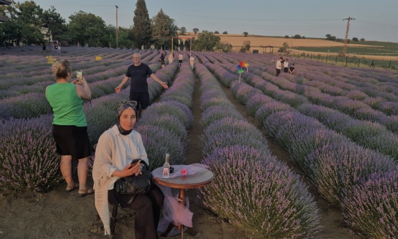 Mor tarla turizmi başladı