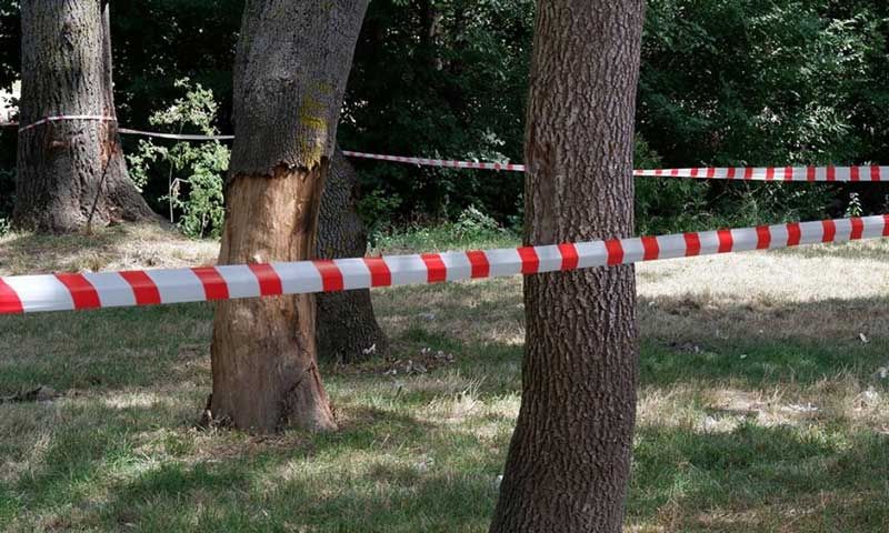 İstanbul Valiliği’nden ormanlara giriş kısıtlaması kararı alındı