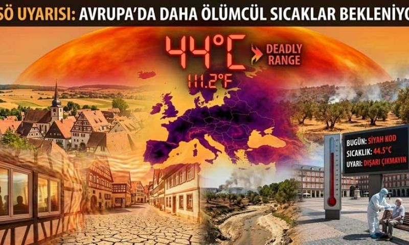 DSÖ’den Avrupa’ya 