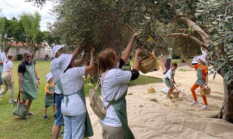 Ela Olive Festival, Akdeniz’in Zeytin Kültürünü Sanat ve Gastronomiyle Buluşturdu